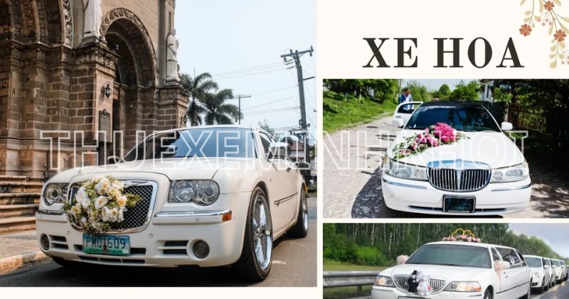 Các loại hình dịch vụ thuê xe tại HCM